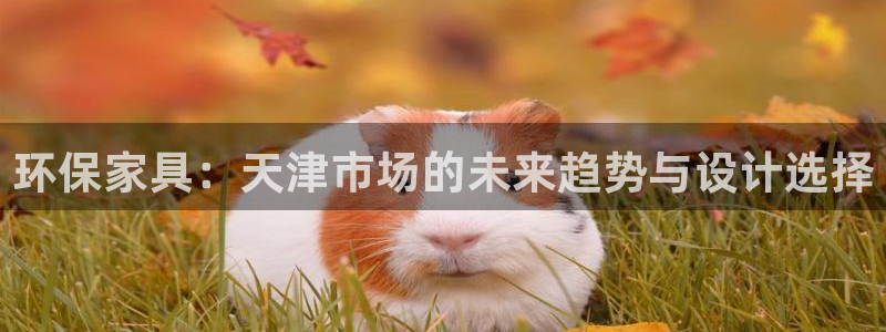 杏宇注册登录中心：环保家具：天津市场的未来趋势与设计选择