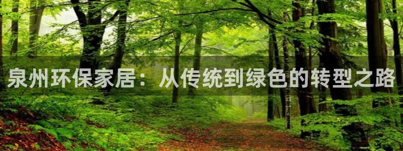 杏宇平台靠谱吗：泉州环保家居：从传统到绿色的转型之路