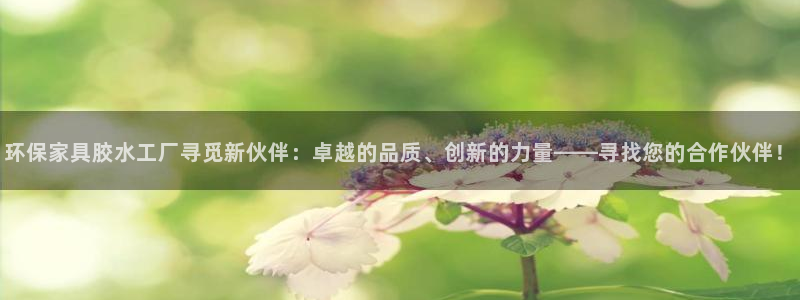 杏宇注册代理：环保家具胶水工厂寻觅新伙伴：卓越的品质、创新的