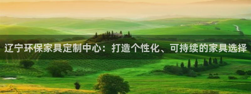 杏宇注册杏宇登陆：辽宁环保家具定制中心：打造个性化、可持续的