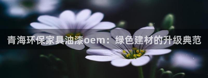 杏宇总代理