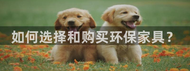 杏宇登入测速
