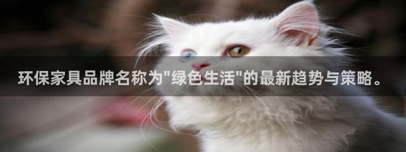 杏宇官方娱乐