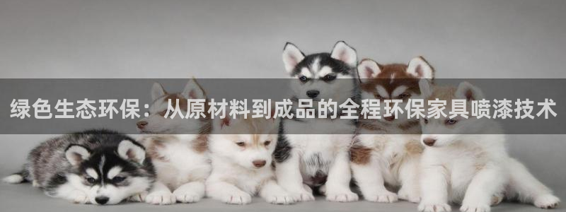 杏宇平台客户端：绿色生态环保：从原材料到成品的全程环保家具喷