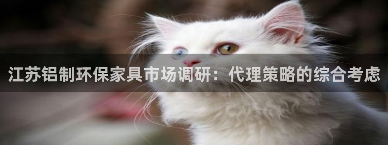 杏宇平台注册登录：江苏铝制环保家具市场调研：代理策略的综合考