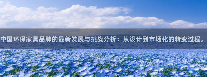 杏宇注册登录官网：中国环保家具品牌的最新发展与挑战分析：从设