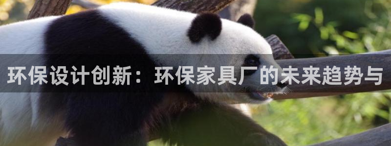 杏宇平台首页登录：环保设计创新：环保家具厂的未来趋势与