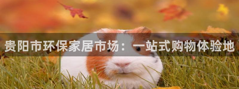 杏宇平台代理怎么赚钱的