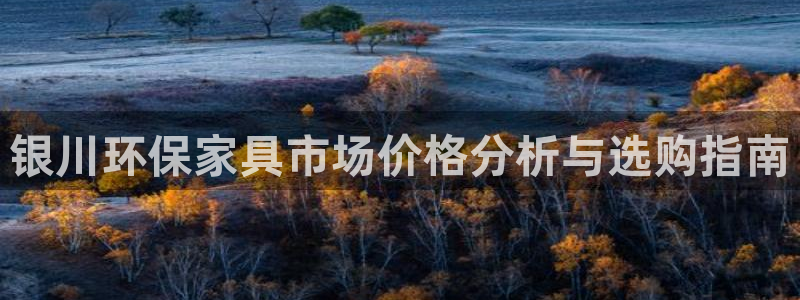 杏宇平台靠谱吗：银川环保家具市场价格分析与选购指南